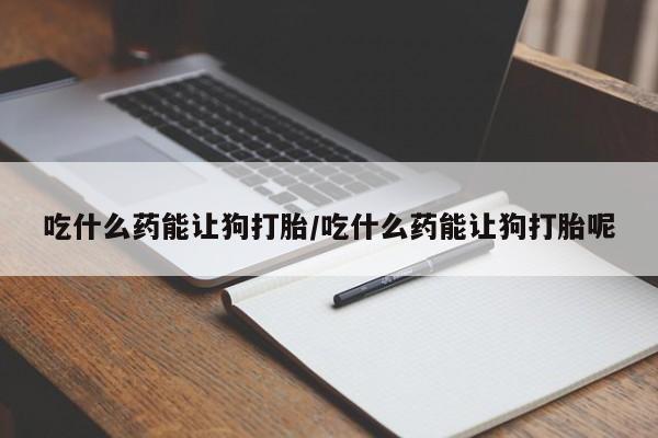 米非米索怎么购买吃什么药能让狗打胎/吃什么药能让狗打胎呢