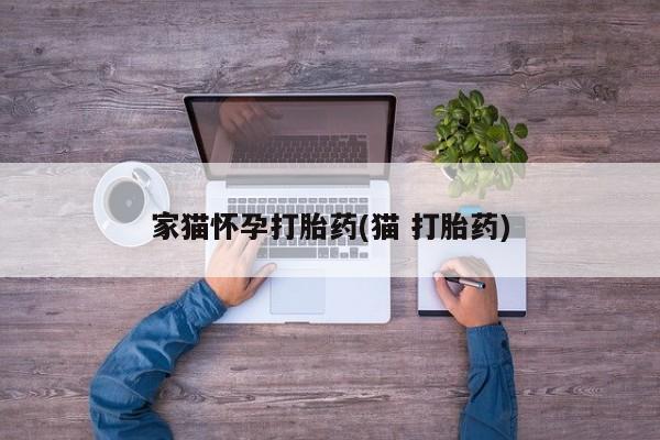 米非米索怎么购买家猫怀孕打胎药(猫 打胎药)