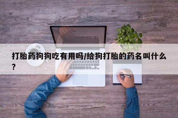 米非米索怎么购买打胎药狗狗吃有用吗/给狗打胎的药名叫什么?